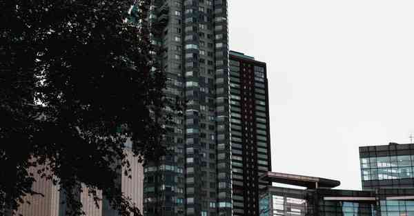 ping的通ip但无法访问网址